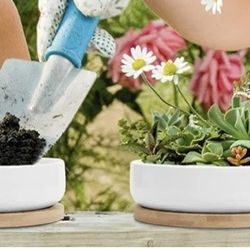Set Of Two 6" White Ceramic Succulent Planters with Drainage and Tray NEW Plants Not Included.