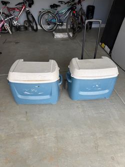 Cooler igloo