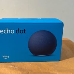 echo dot alex 