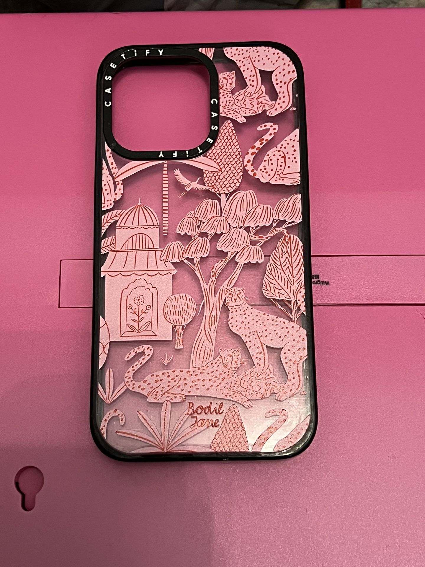 iPhone 13 Pro Casetify