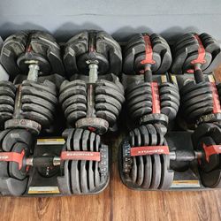 BowFlex SelectTech 552 and 1090 Adjustable Dumbbells, Dumbbell Stands, and Bench Press