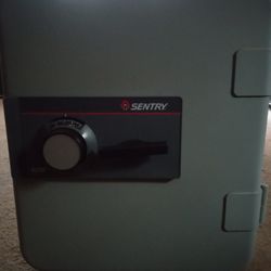 Sentry 6250 Safe