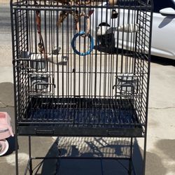 Bird Cage 