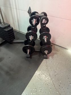 Dumbbell Set with A-Frame Rack