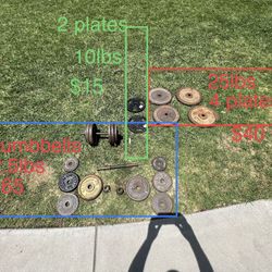 Ez Curl Bar & Weights For Workout