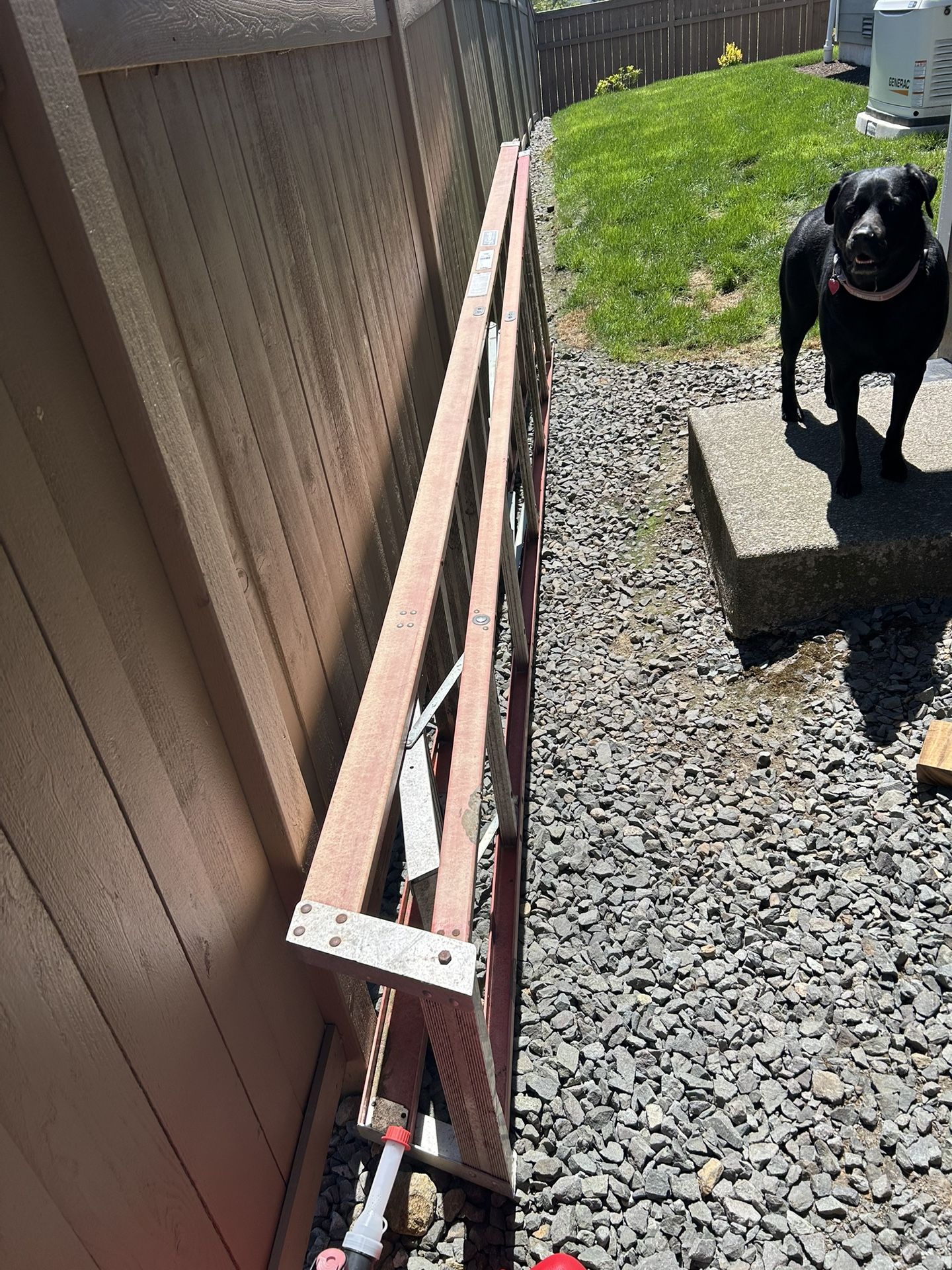 12ft Louisville Fiberglass Ladder