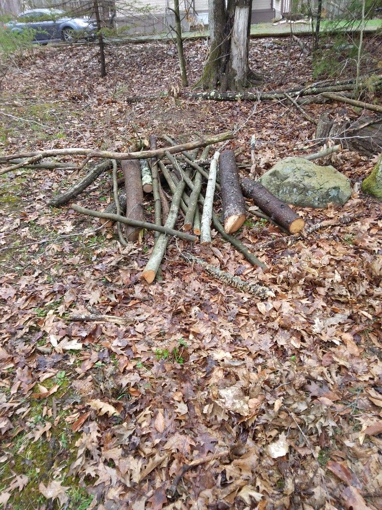 Free Fire Wood
