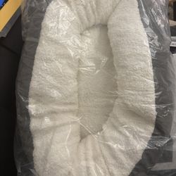 New Dog Bed 