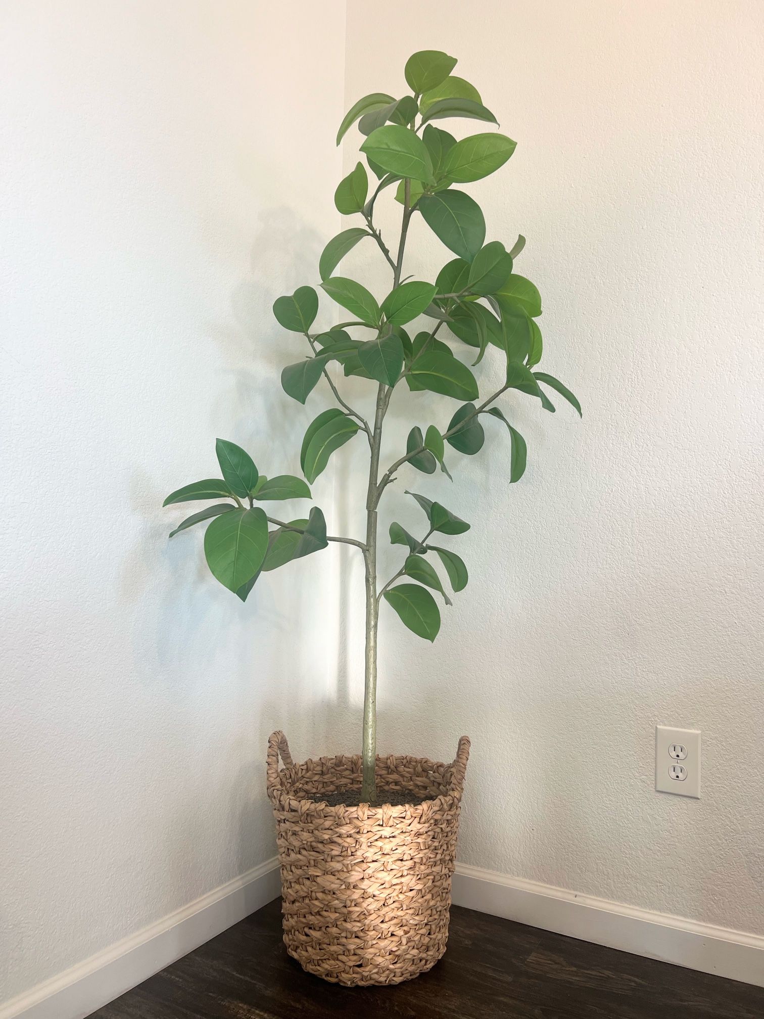 Artificial Fig Tree 6 Ft 