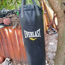 Everlast Punching Bag