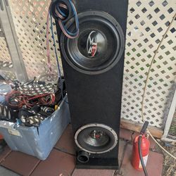 2. 12" Subwoofers And Box
