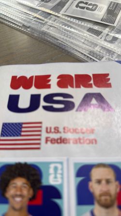 Usa panini stickers