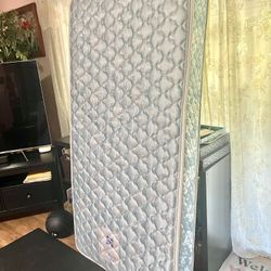 Sealy Princeton III Plush Twin Mattress