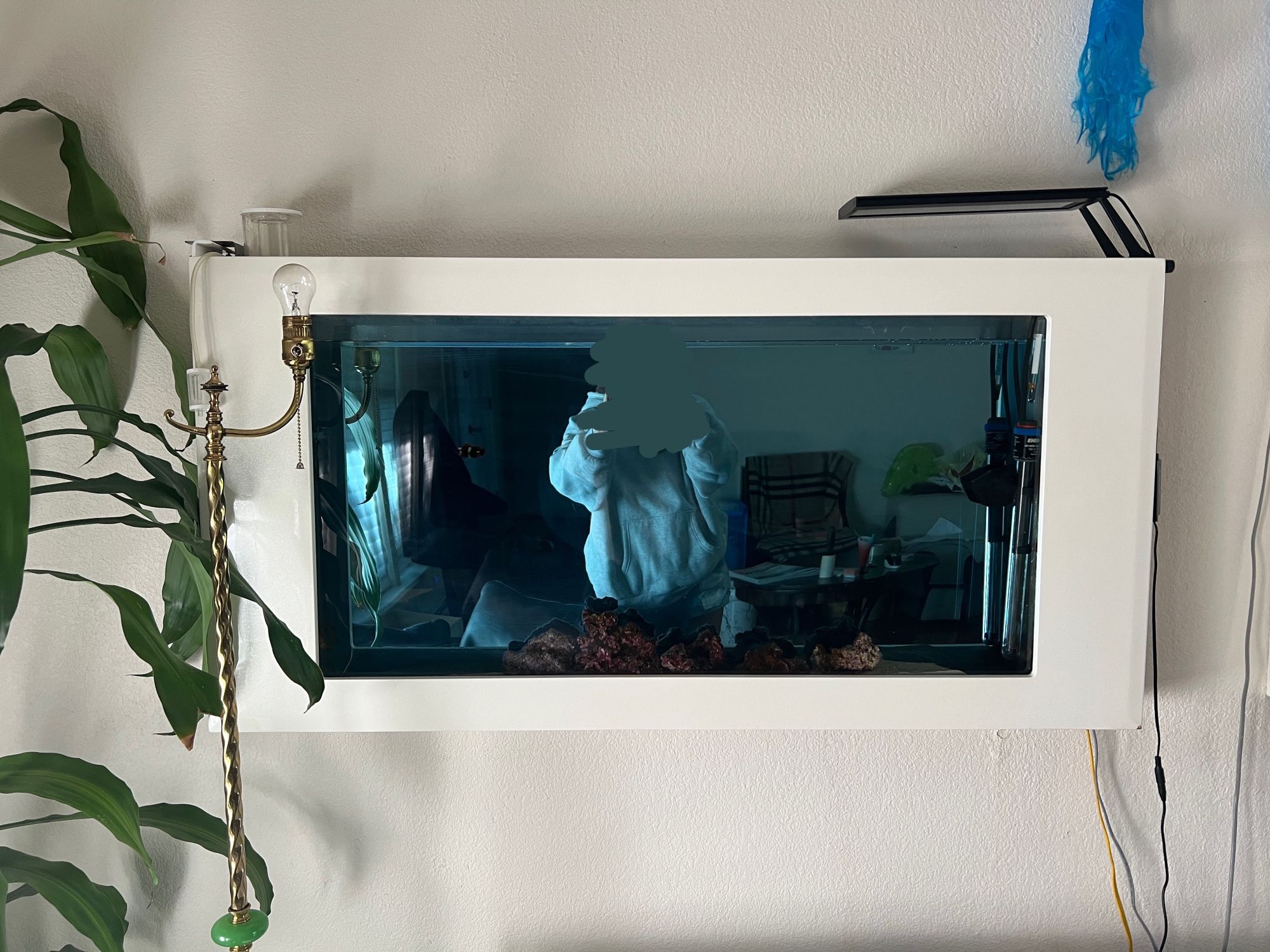 Saltwater Wall Fish Tank w/ Fish