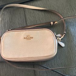 Coach Small Purse