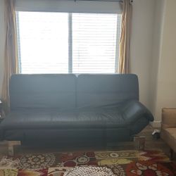 Folding Futon Sofa Bed From Costco 