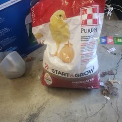 Chicken Starter -Free
