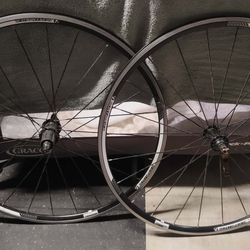 Bontrager Alloy blade wheels