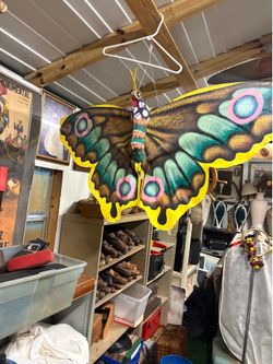 Butterfly Decor