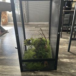 Chameleon Cage With Accessories 
