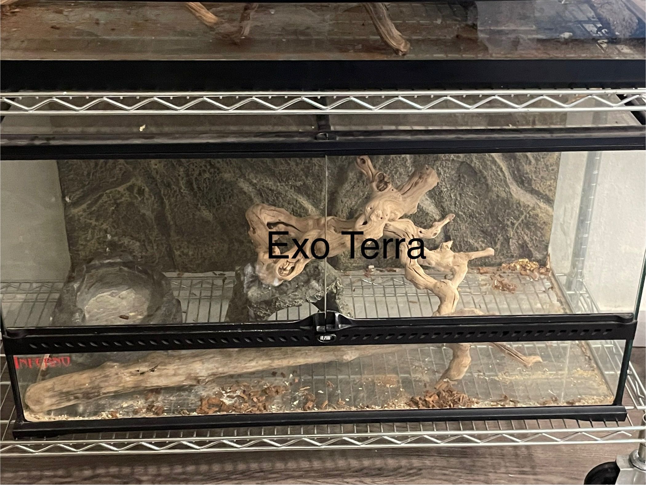 Reptile Enclosure