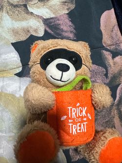 Halloween Raccoon