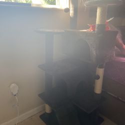 Cat Tree
