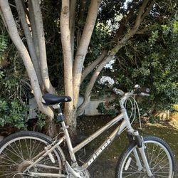 Women’s Bike 🚲 
