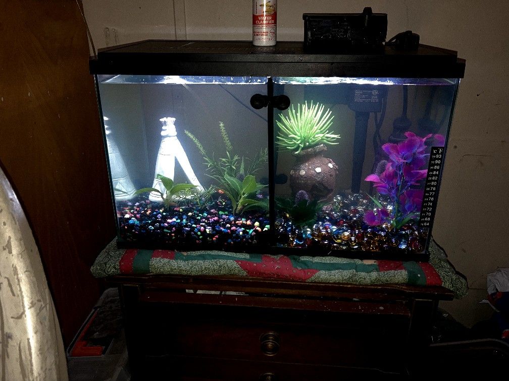 10 Gallon Fish Aquarium
