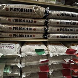 Bird Food