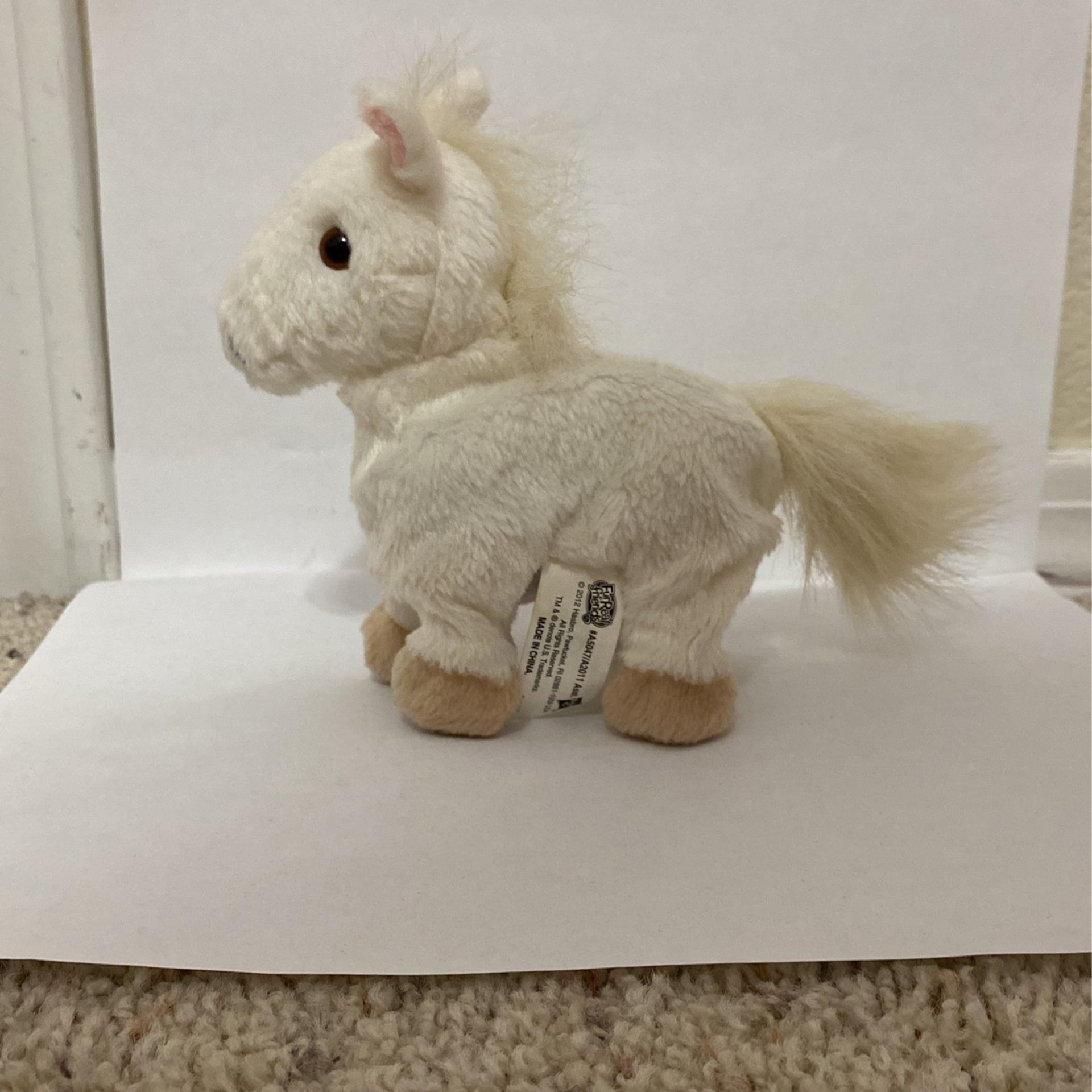 For Real Pet Small Horse