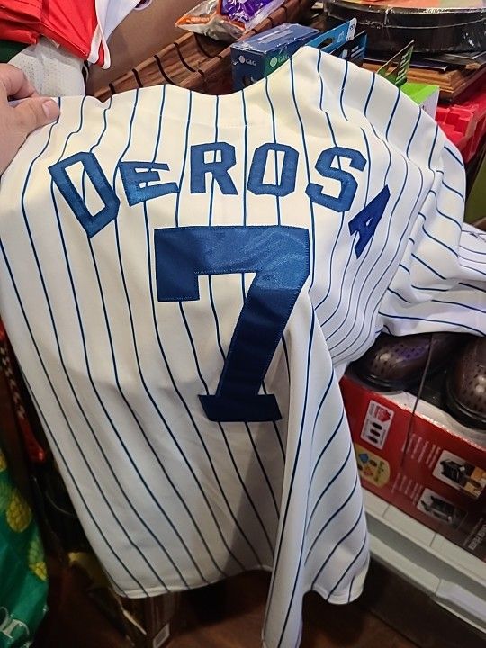 majestic mlb chicago cubs Derosa #7 baseball jersey