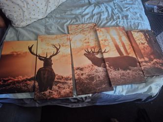 Canvas elk photo