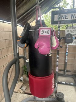 Punching bag and stand