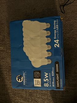 LED Daylight Light Bulbs – Large Pack