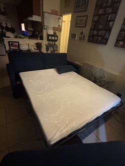 Navy Blue Sleeper Sofa with Pull-Out Mattress