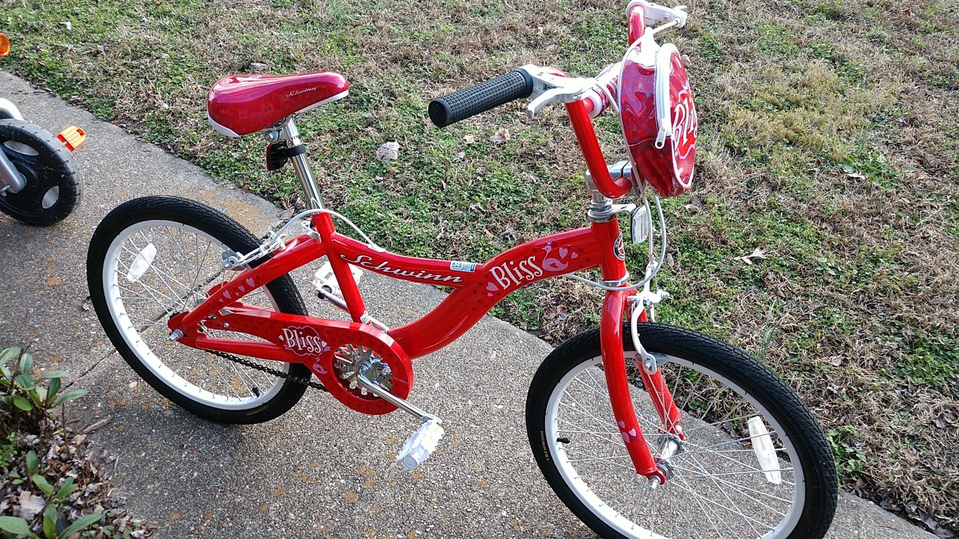 Schwinn Bliss 20" Girls Bike - Like New