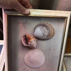 Two Framned Paintings Horseshoe and Starfish