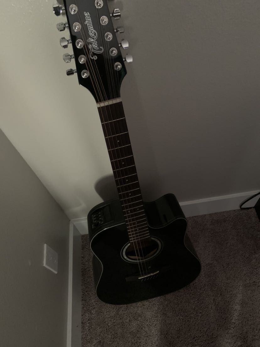 takamine Guitar