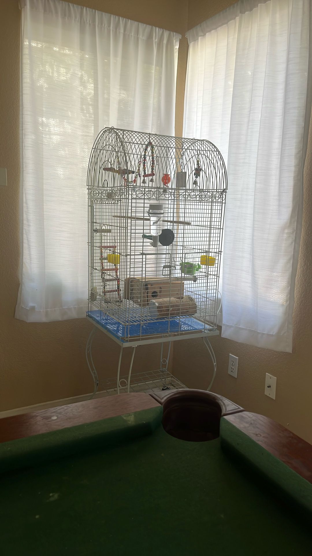 Bird Cage