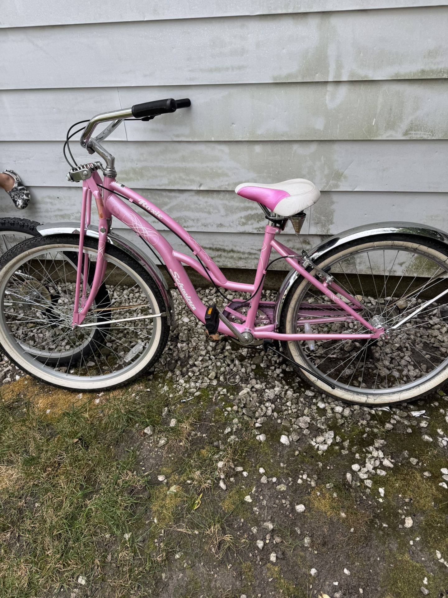 1992 Roxie Schwinn