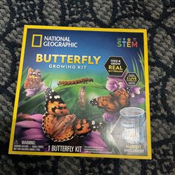 Butterfly Growing Kit