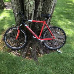 26” Giant Mountain Bike (Xl Frame)