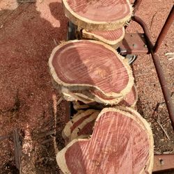Cedar Slices And More 
