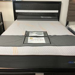 New Arrival Mattress 