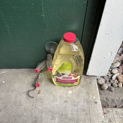Free Hummingbird Feeder and Nectar