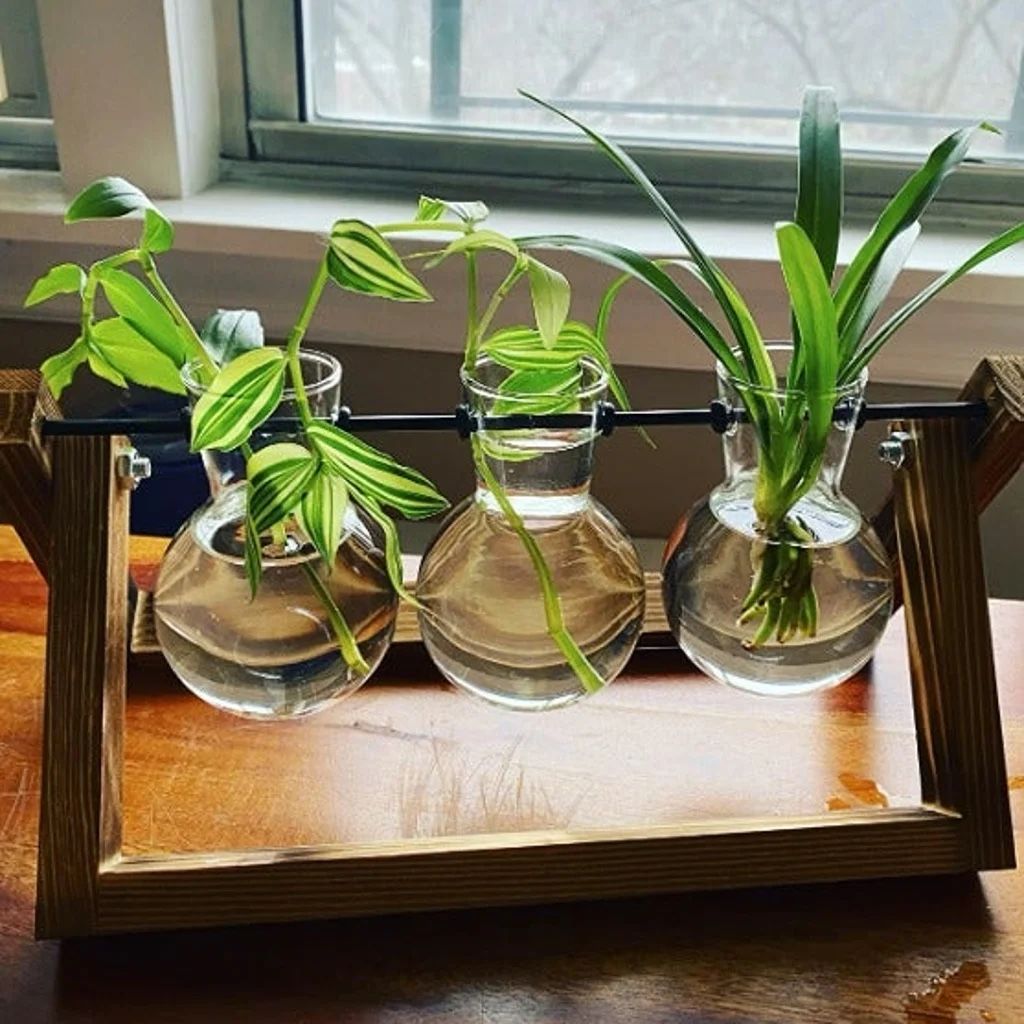 Plant Terrarium with Wooden Stand, Air Planter Bulb Glass Vase Metal