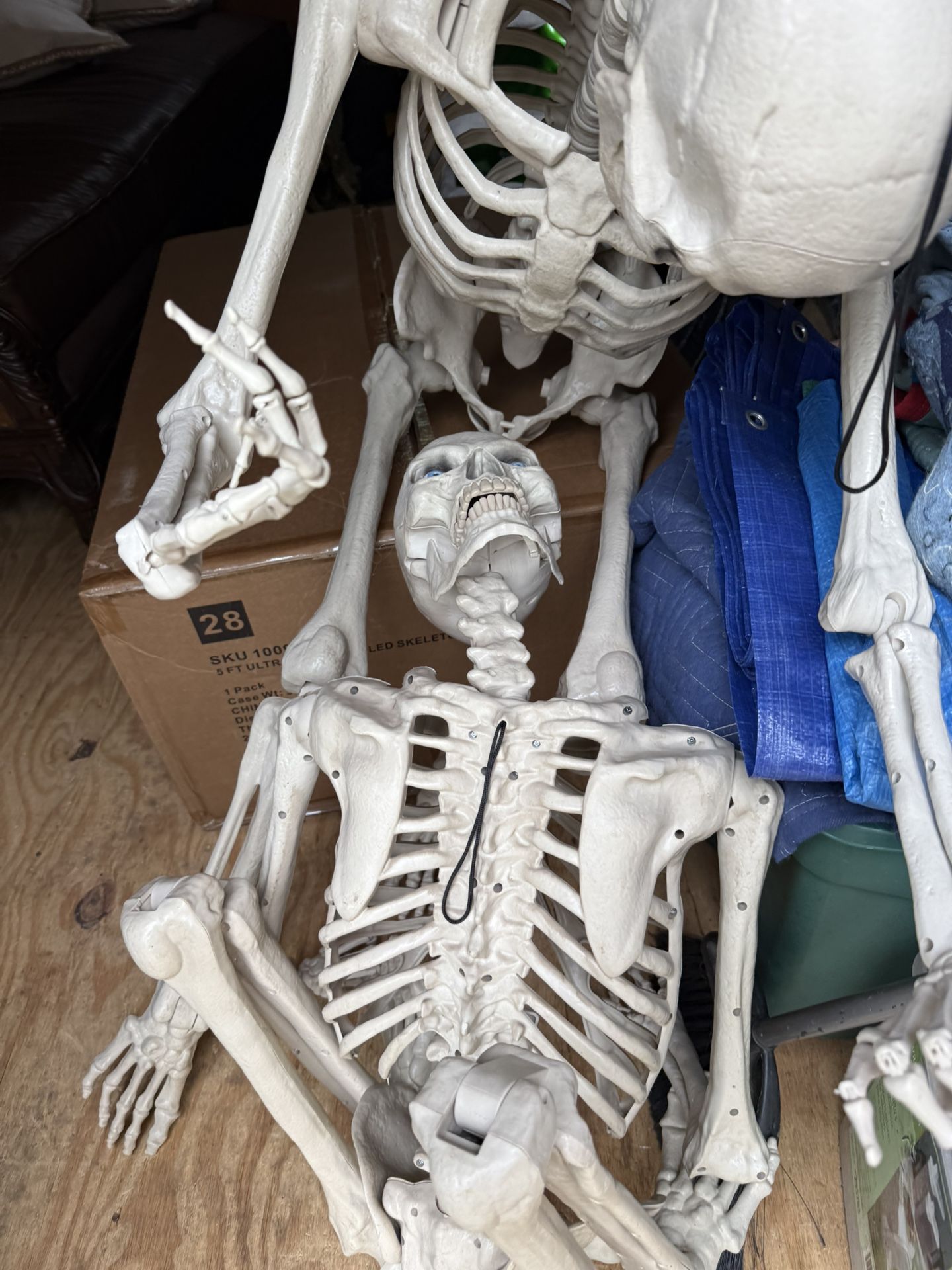 5 Ft Skeletons New Ultimate Posables