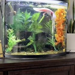 Fish tank, 22-gal, UV filter, light, plants