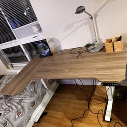 Electric Standing Desk